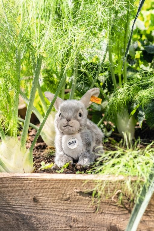 Steiff Dormilli Rabbit, 21 cm