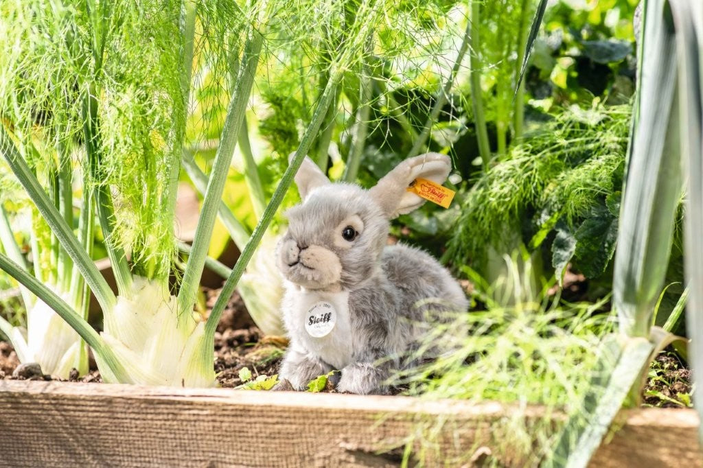 Steiff Dormilli Rabbit, 21 cm