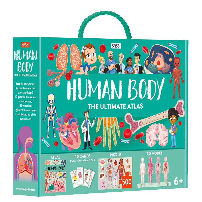 Sassi The Ultimate Atlas and Puzzle Set - Human Body 3D Model and Puzzle