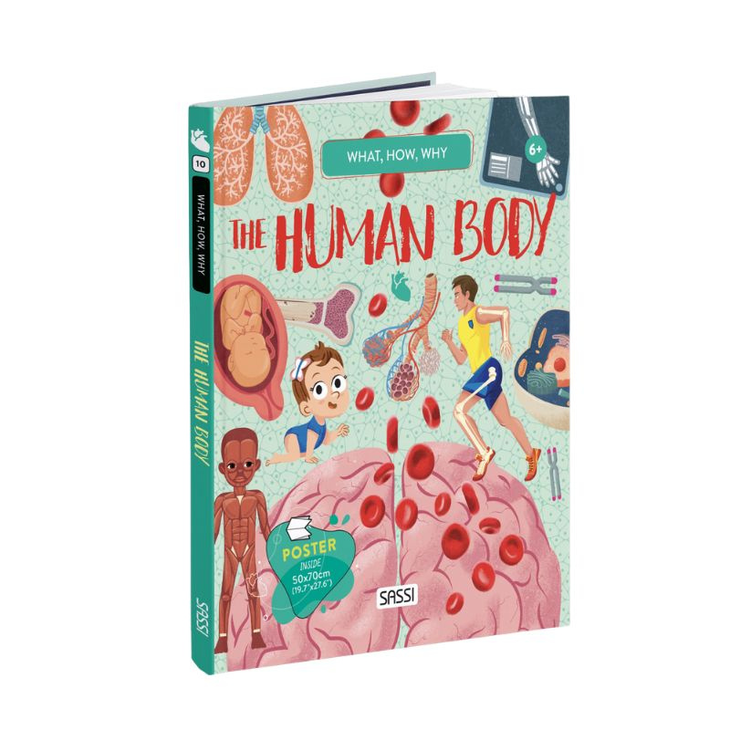 Sassi What How and Why The Human Body Book and Poster