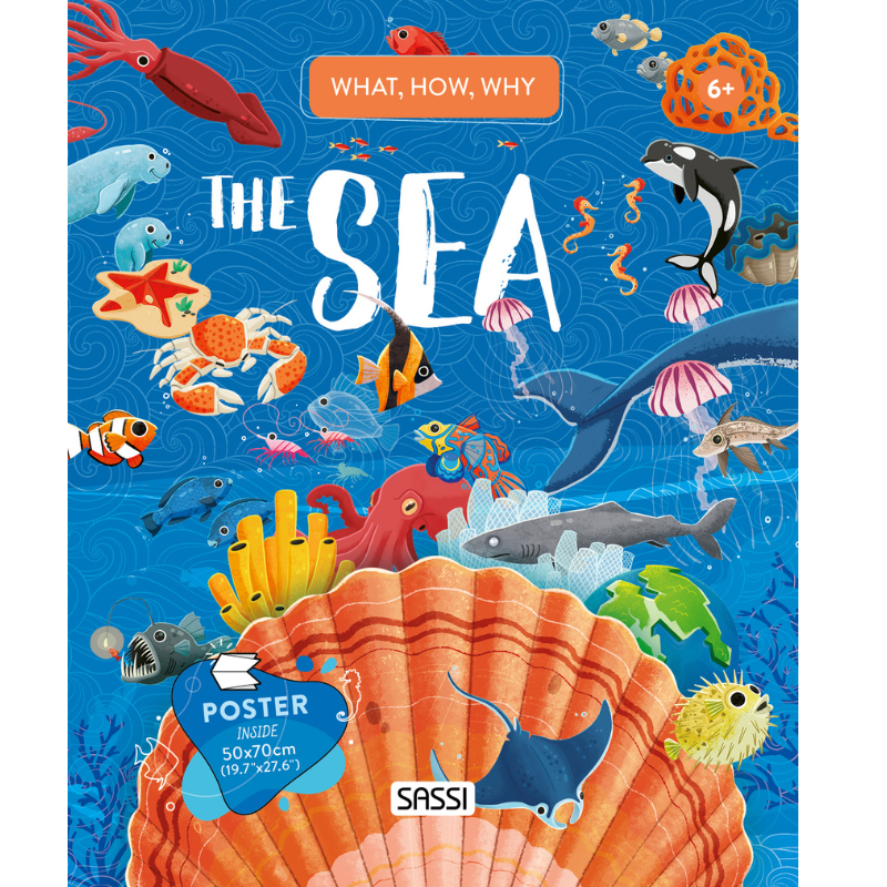 Sassi What How and Why The Sea Book and Poster