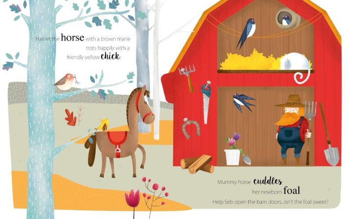 Sassi 3D Model, Build and Book - Farm