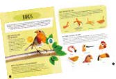Sassi The Ultimate Atlas and Puzzle Set - Animals 3D Construction