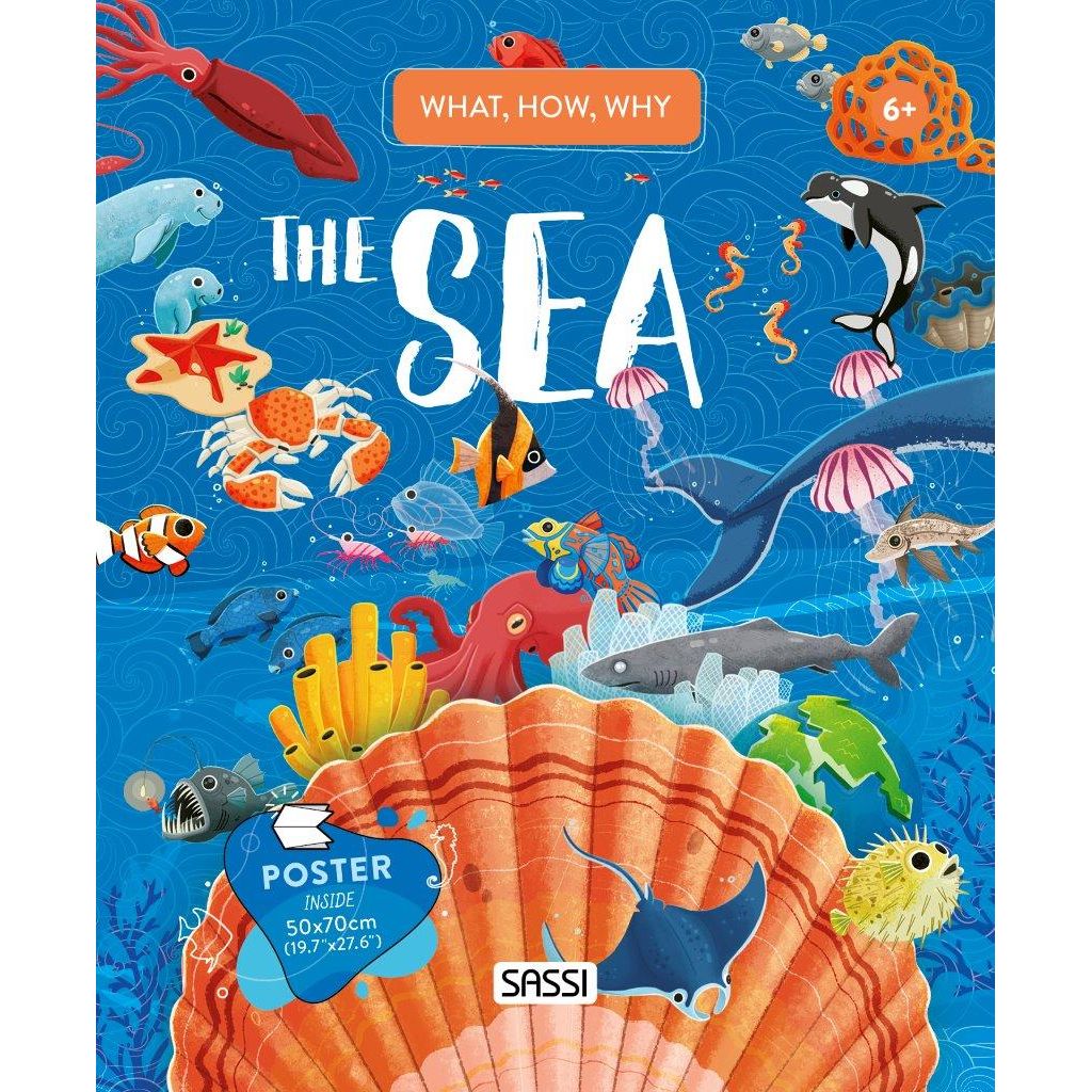 Sassi What How and Why The Sea Book and Poster
