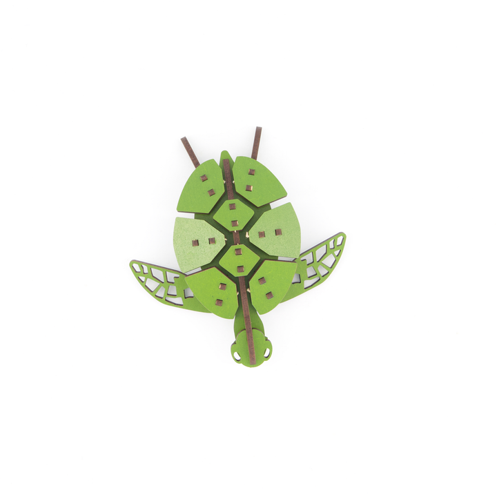Little and Wood Construction Set Turtle A5