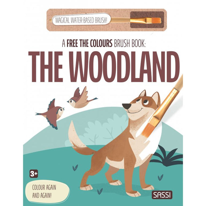 Sassi Free the Colours Reusable Paint Brush Book - The Woodland