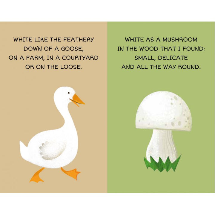 Sassi My First Library - Colours, 8 pcs