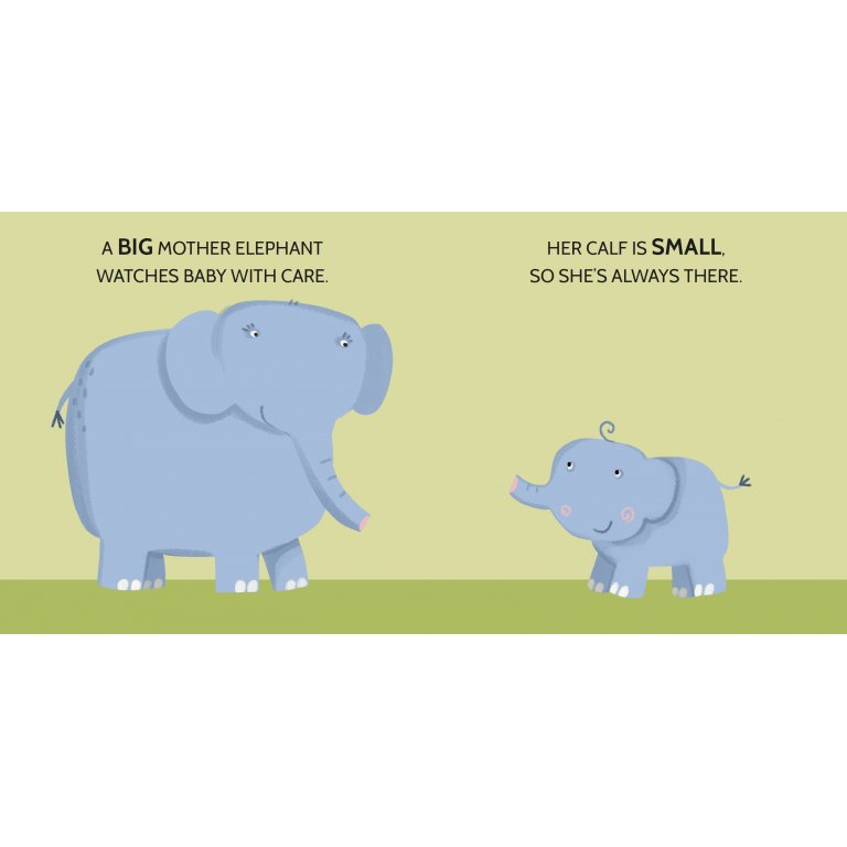 Sassi Puzzles 2 - Opposites Book and Puzzles, 20 pcs