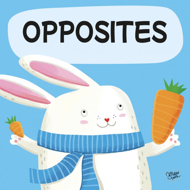 Sassi Puzzles 2 - Opposites Book and Puzzles, 20 pcs