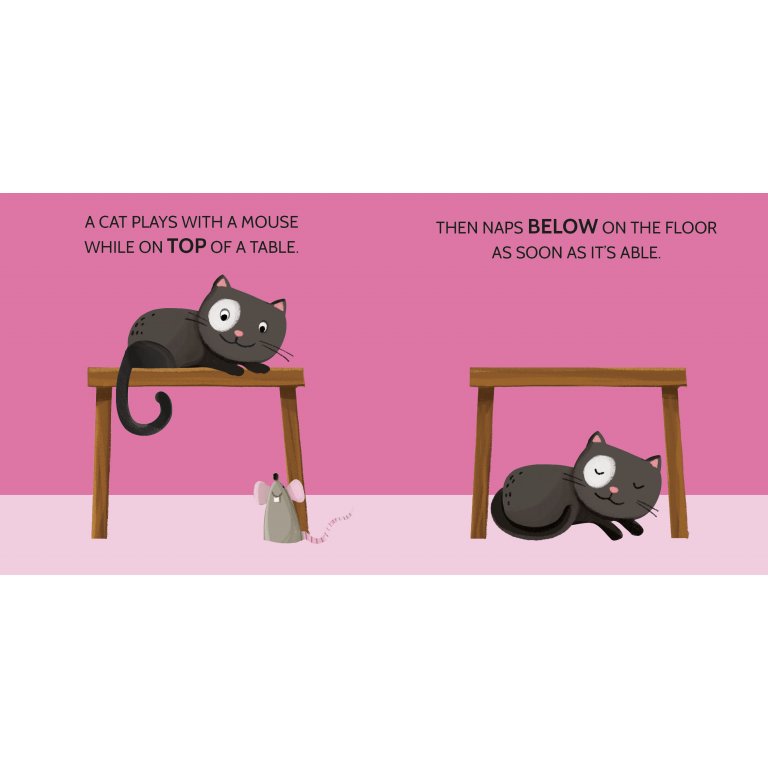 Sassi Puzzles 2 - Opposites Book and Puzzles, 20 pcs