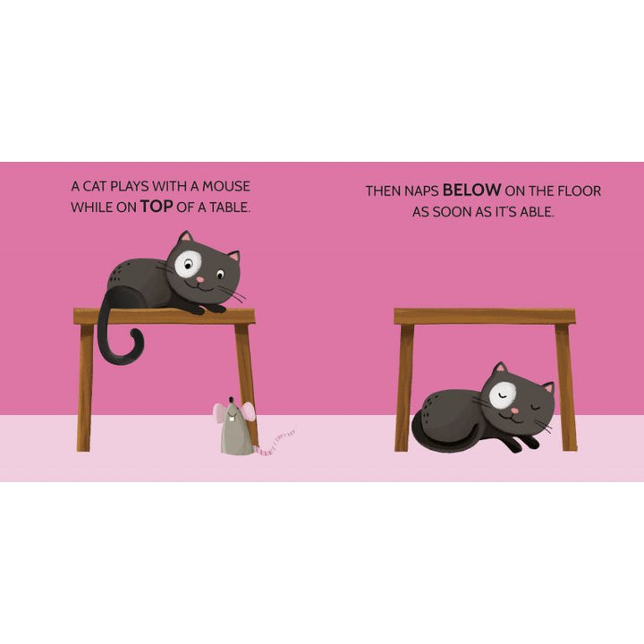 Sassi Puzzles 2 - Opposites Book and Puzzles, 20 pcs