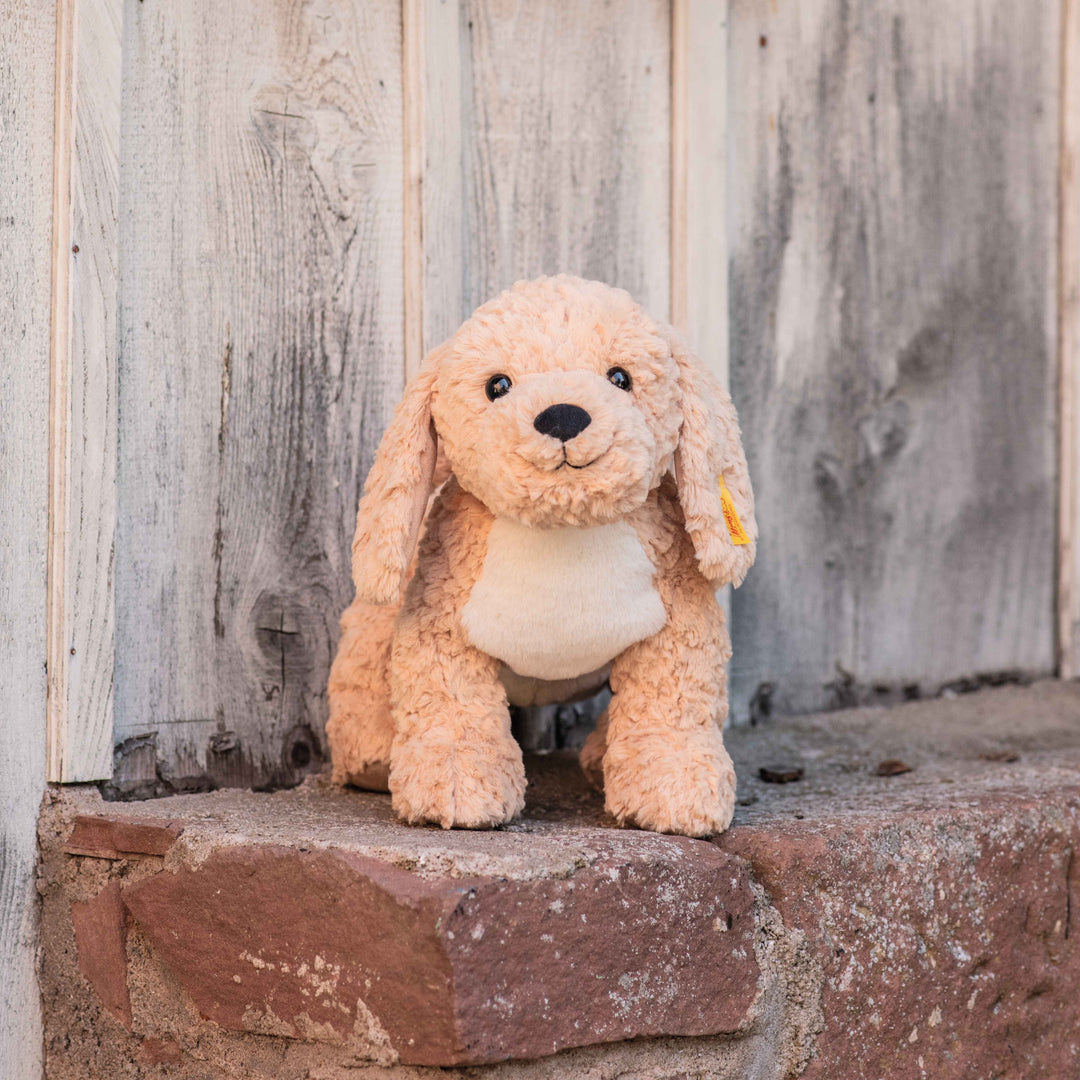 Steiff Soft Cuddly Friends - Berno Golden Doodle, 36 cm