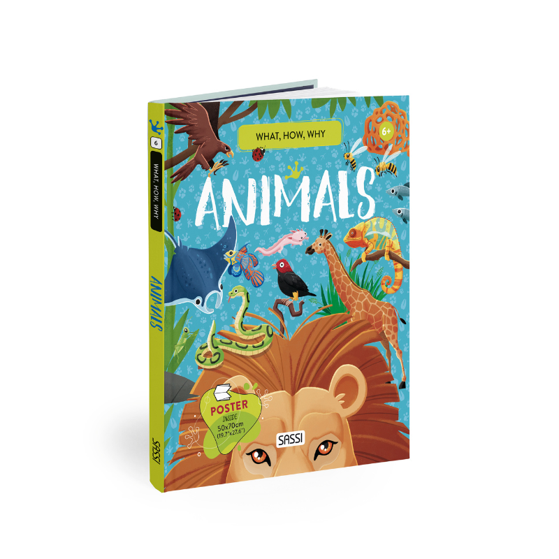 Sassi What How and Why Animals Book and Poster