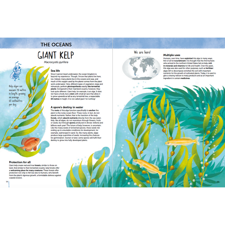 Sassi Atlas of Biodiversity - Flora of the World