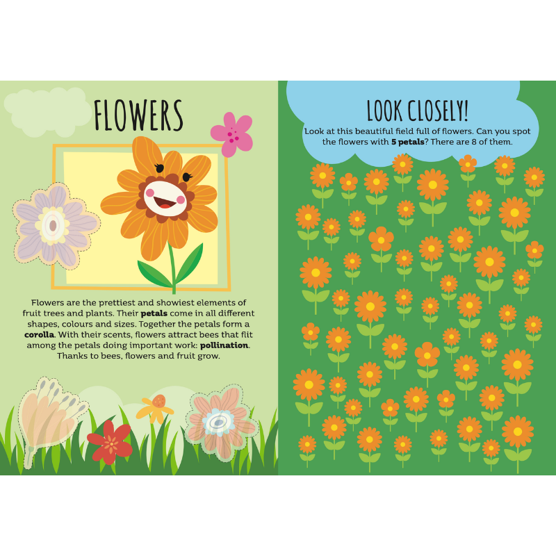 Sassi Stickers and Activities Book - Nature
