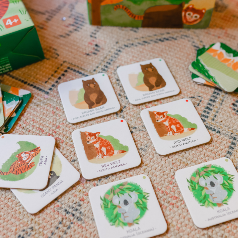 Sassi Games - Memory Matching - Animals to Save The Woods
