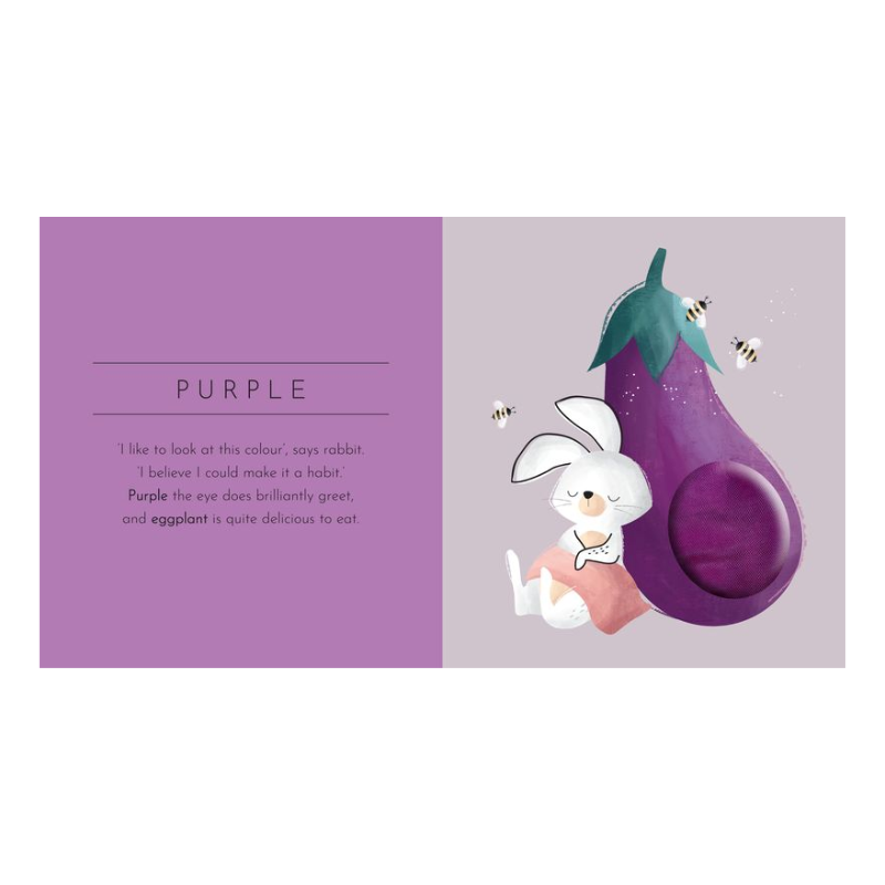 Sassi Touch & Feel Pocket Book - Colours