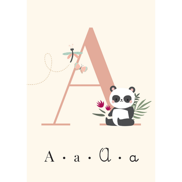 Sassi My First Cards - Alphabet