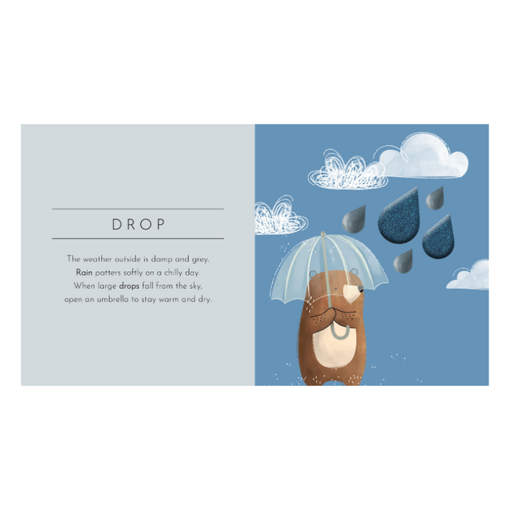 Sassi Touch & Feel Pocket Book - Shapes