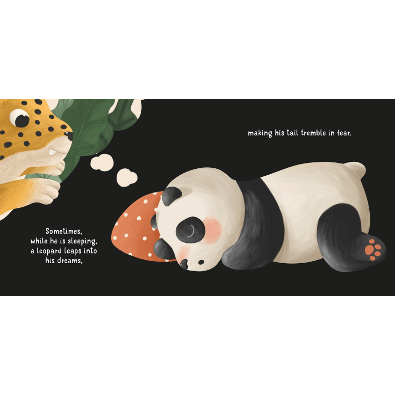Sassi Board Book - Step by Step - Bye to My Dummy