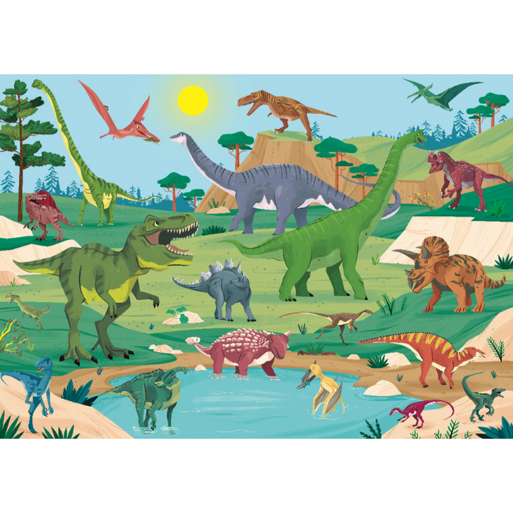 Sassi What How and Why Dinosaurs Book and Poster