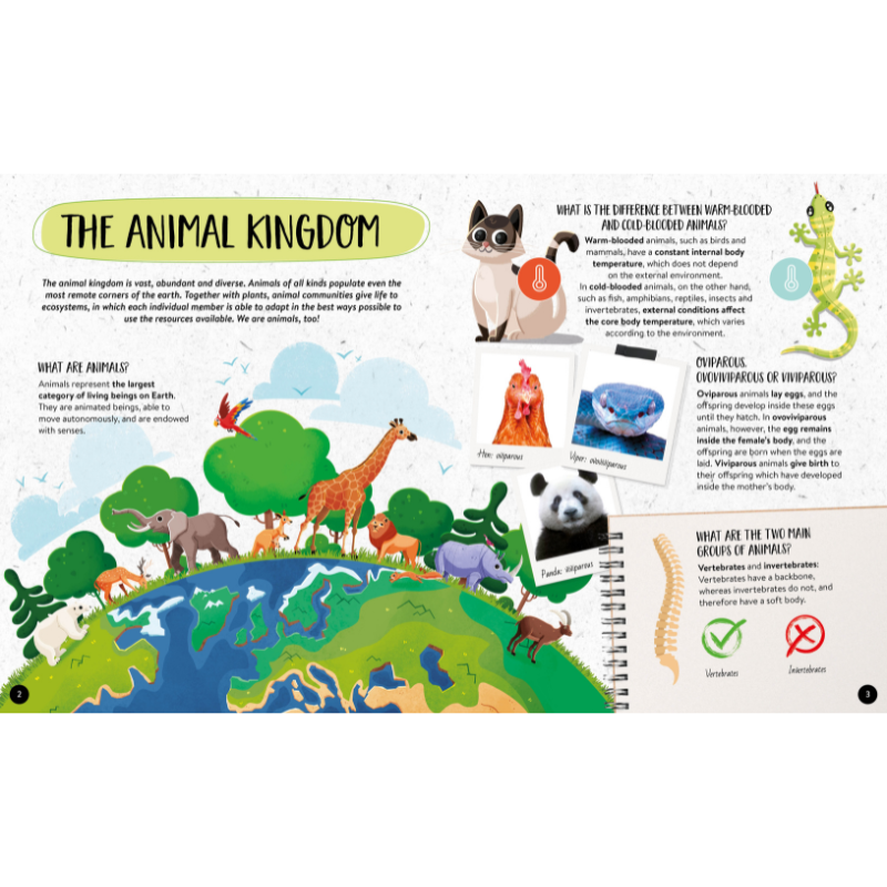 Sassi What How and Why Animals Book and Poster