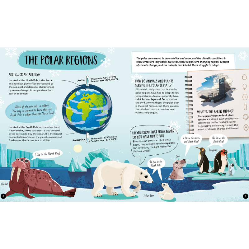 Sassi What How and Why Earth Book and Poster