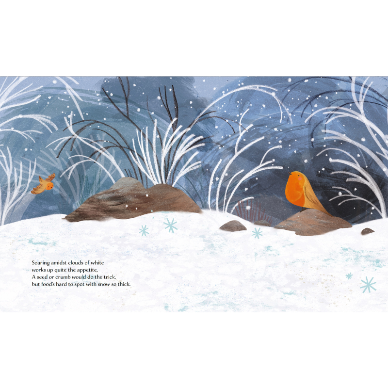 Sassi Story Book - Winter