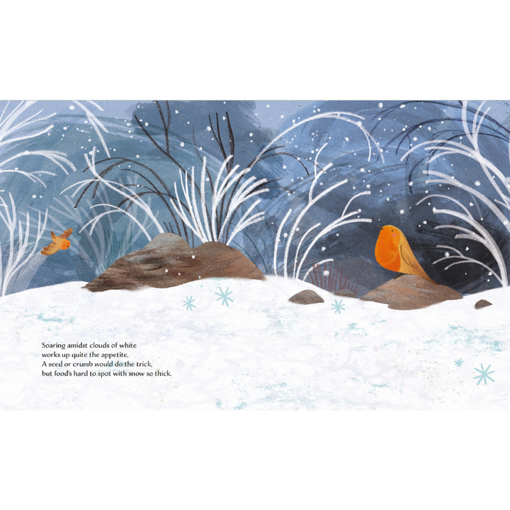 Sassi Story Book - Winter