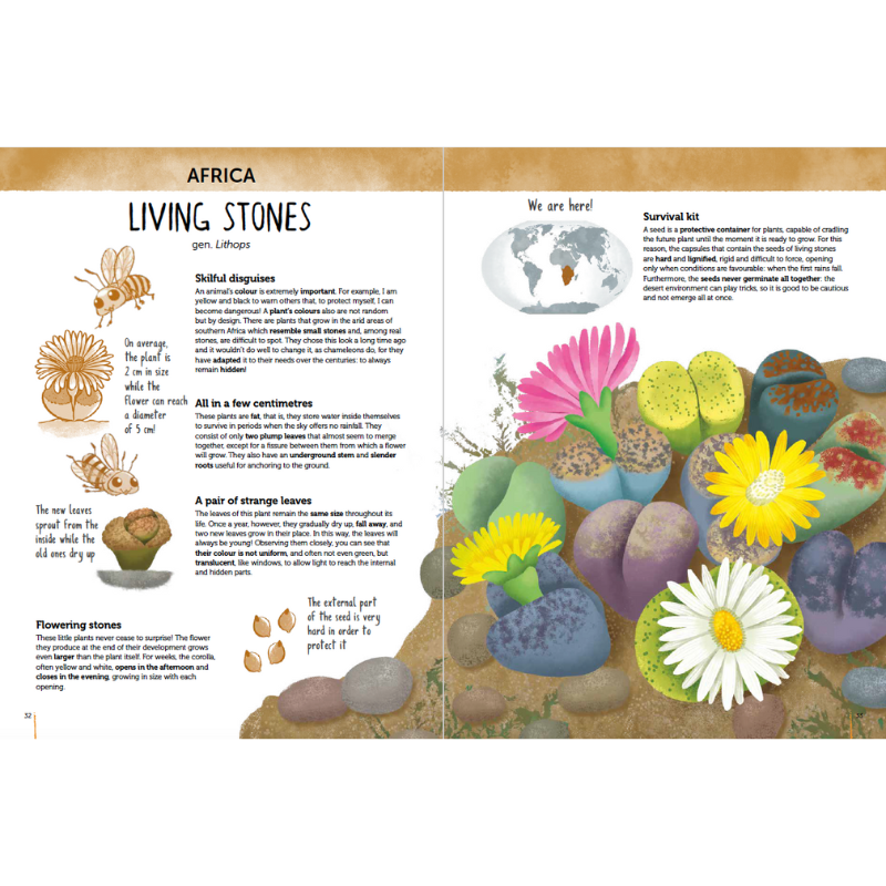 Sassi Atlas of Biodiversity - Flora of the World