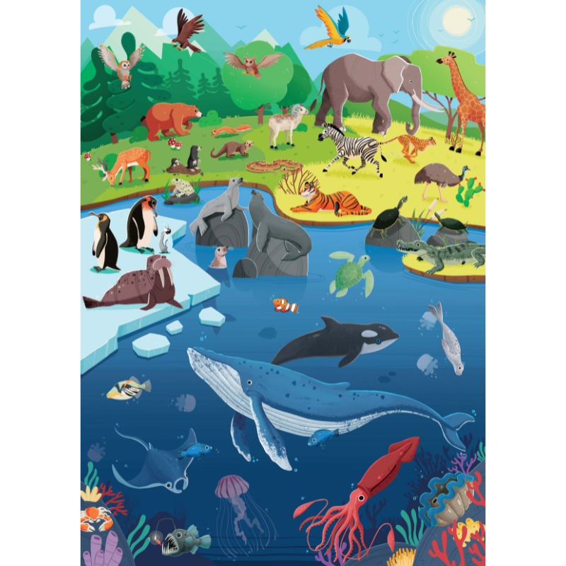 Sassi What How and Why Animals Book and Poster