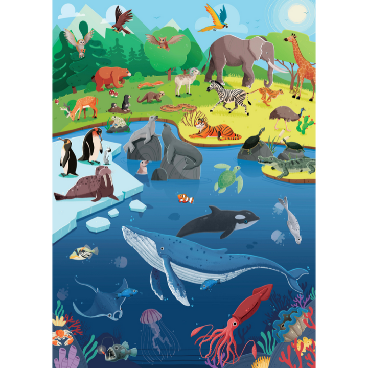 Sassi What How and Why Animals Book and Poster