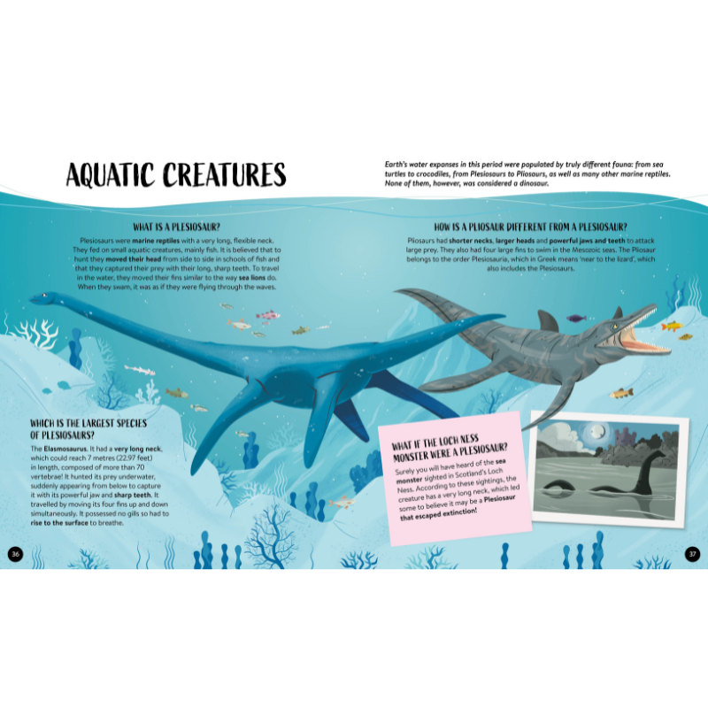 Sassi What How and Why Dinosaurs Book and Poster