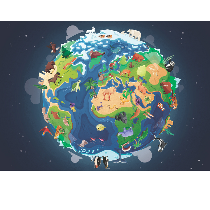 Sassi What How and Why Earth Book and Poster