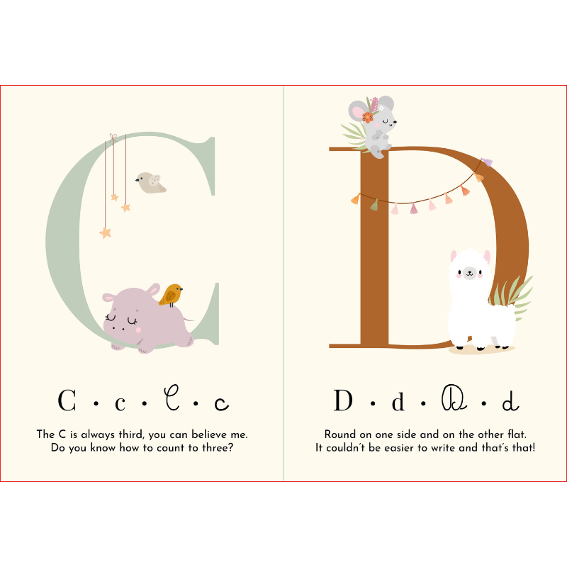 Sassi My First Cards - Alphabet