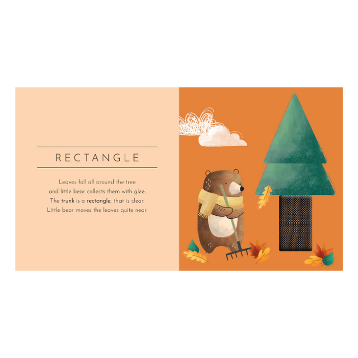 Sassi Touch & Feel Pocket Book - Shapes