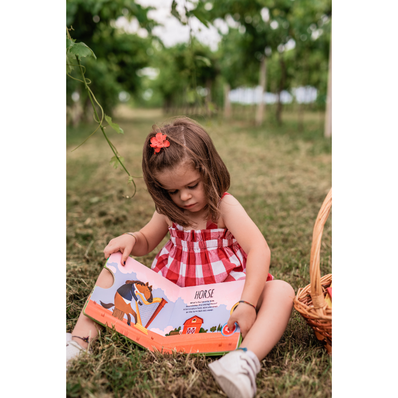 Sassi Sound Book - The Farm