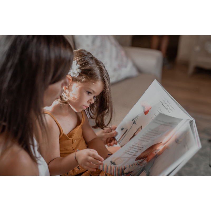 Sassi Story Book - Woollen Wings