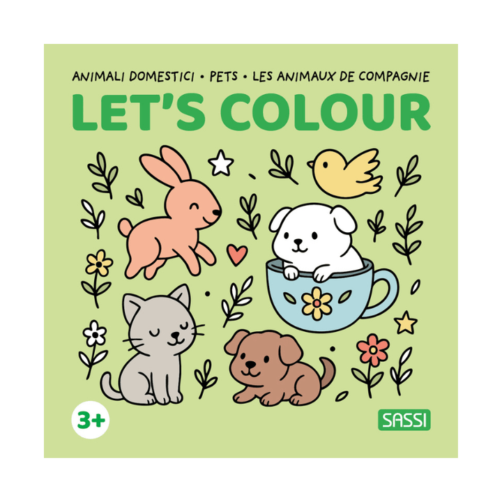 Sassi Colouring Book Square - Pets