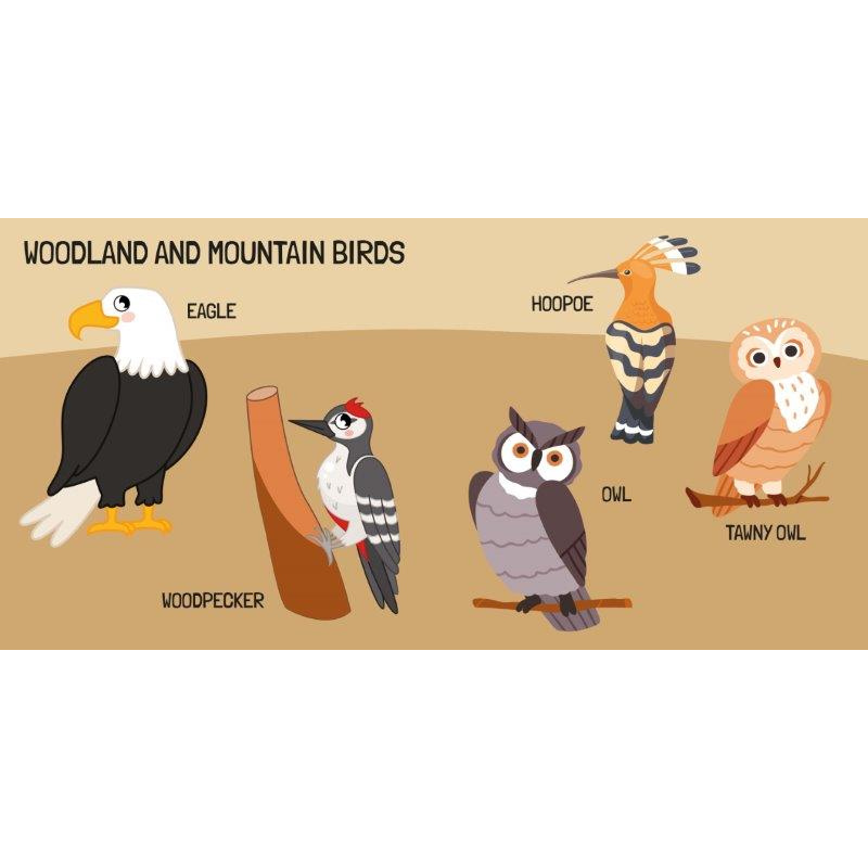 Sassi 3D Puzzle and Book Set - World of Birds, 40 pcs