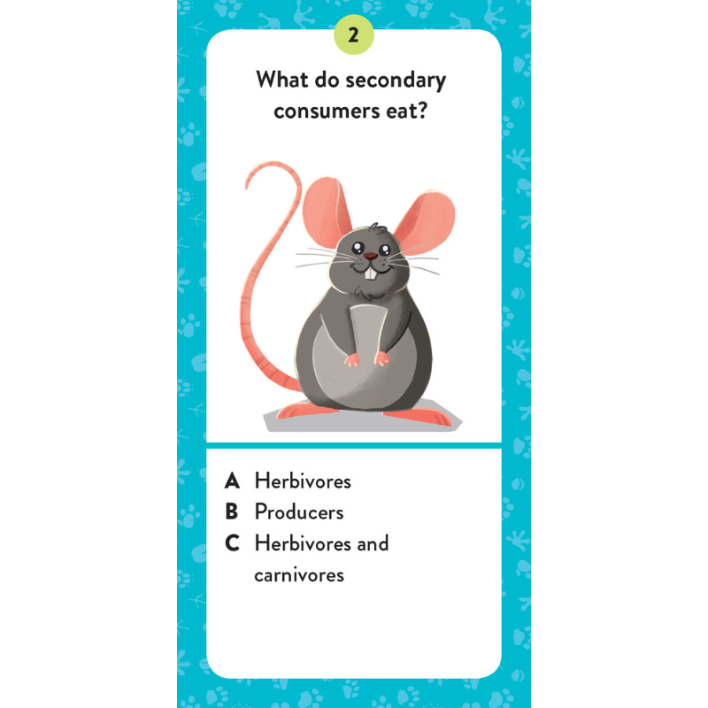 Sassi The Ultimate Atlas and Puzzle Set - Animals 3D Construction