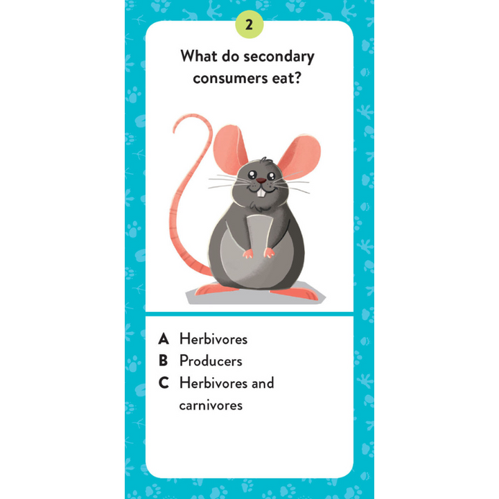 Sassi The Ultimate Atlas and Puzzle Set - Animals 3D Construction