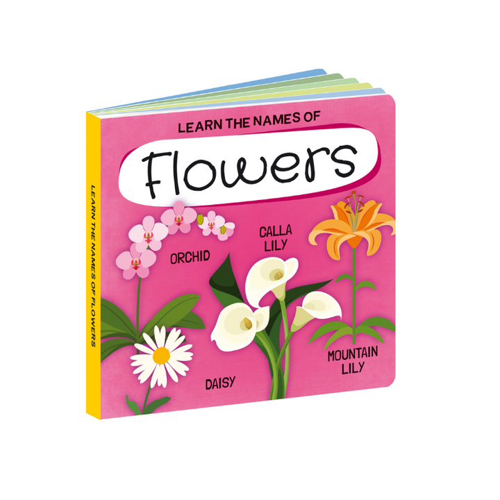 Sassi 3D Puzzle and Book Set - Learn Shapes Flowers, 40 pcs