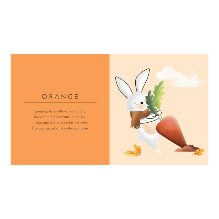 Sassi Touch & Feel Pocket Book - Colours