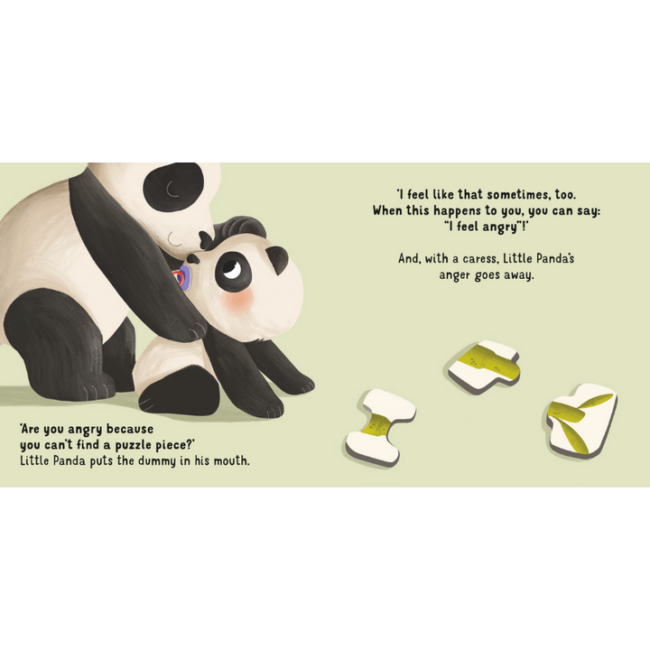 Sassi Board Book - Step by Step - Bye to My Dummy