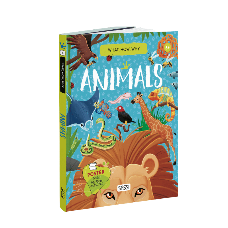 Sassi What How and Why Animals Book and Poster