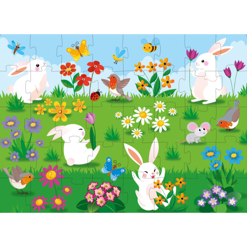 Sassi 3D Puzzle and Book Set - Learn Shapes Flowers, 40 pcs