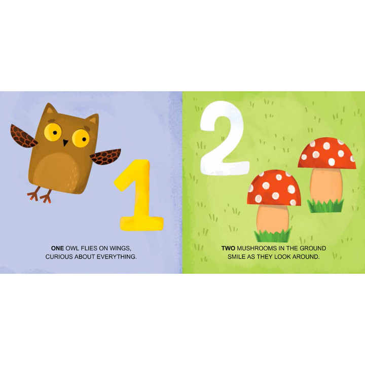 Sassi My First Numbers STEAM Puzzle & Book Set. 1 metre