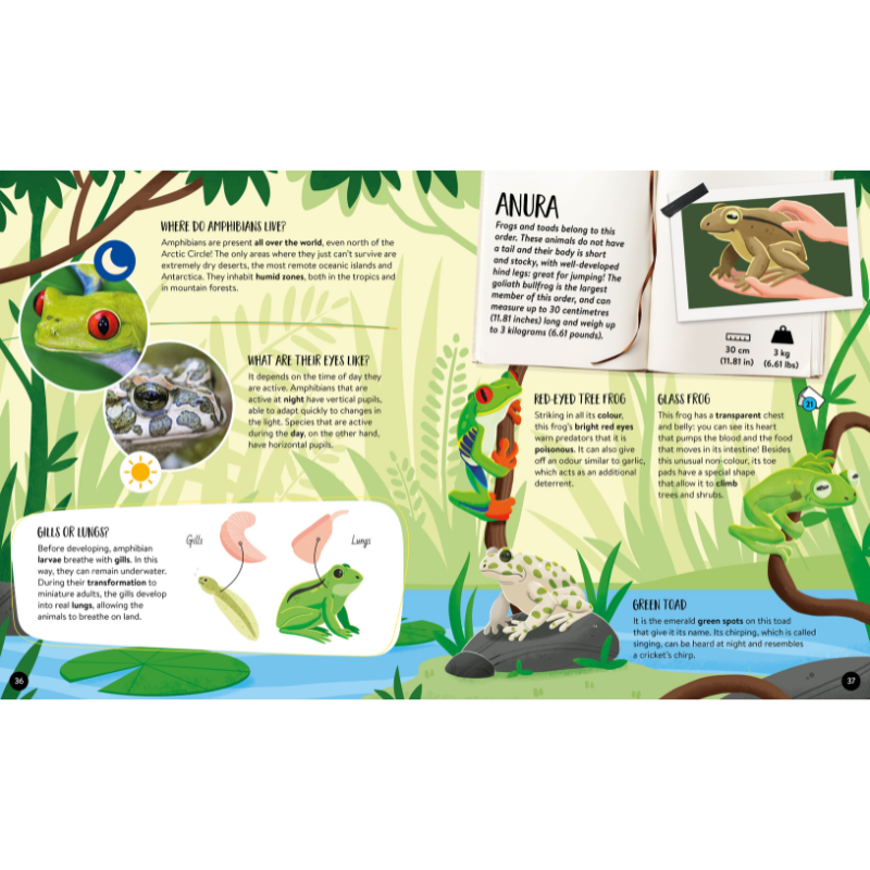 Sassi The Ultimate Atlas and Puzzle Set - Animals 3D Construction