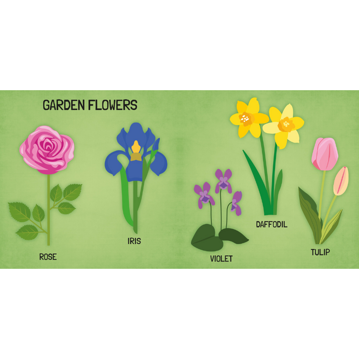 Sassi 3D Puzzle and Book Set - Learn Shapes Flowers, 40 pcs